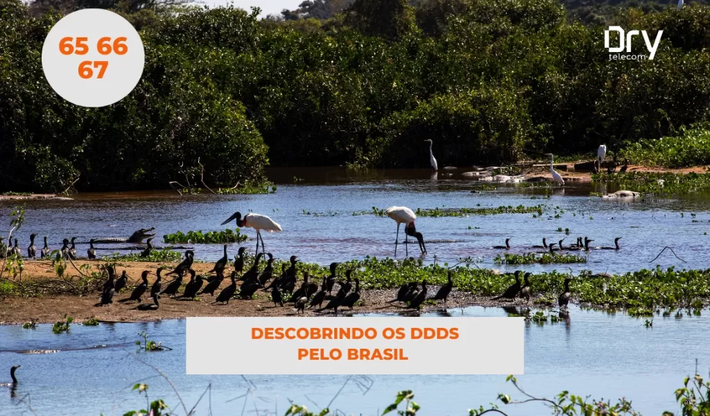 Descobrindo DDDs pelo Brasil: Mato Grosso